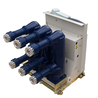 VYG系列12kV固封式真空断路器-2